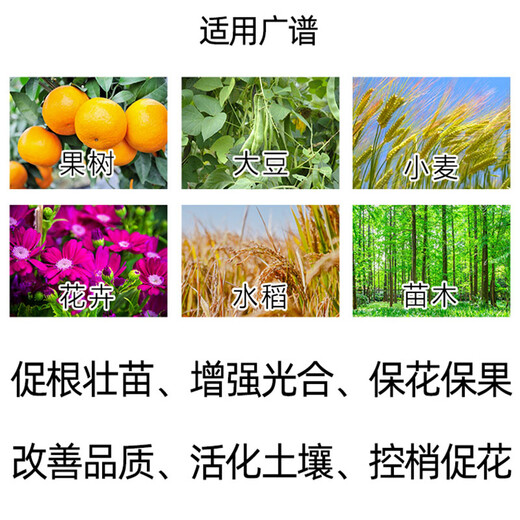 Senhuomengliang compound sodium nitrophenolate garden seedlings, lawns, flowers, vegetables, irrigation, root mixing, fertilizer, rooting and growth regulator