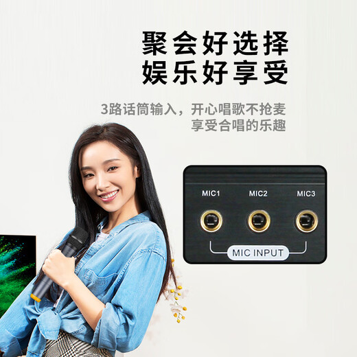 惠威Hivi_惠威 HA-8300卡包功放双混响K歌效果调节卡拉OK功放机250W 250W+250W