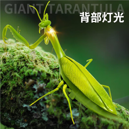 ZHIO遥控螳螂电动仿真玩具抖音整蛊神器蟑螂男孩会动的蜘蛛爬行小动物 【经典版-遥控苍蝇】蓝色款9921 标配