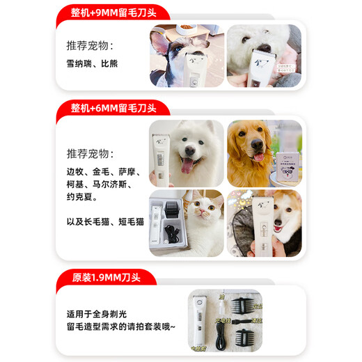 Laiwang brothers pet shaver dog shaving and shearing machine powerful non-stuck electric pet clipper PC-902 white