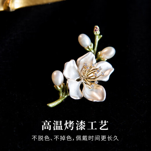 Jingli Jingda Magnolia Brooch Высококачественная женская изысканная ниша из пресноводной жемчужины День преподавателя подарка женщины-учителя высококлассного практического и изысканного магнолии [изящная подарочная коробка]