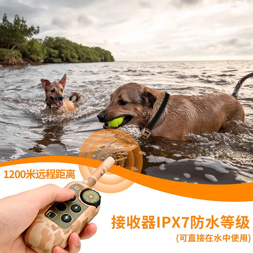 SODOG 新款彩屏遥控科学训狗器静电电项圈训狗神器防止狗叫防爆冲 KT689-拖1(1只狗狗的选)