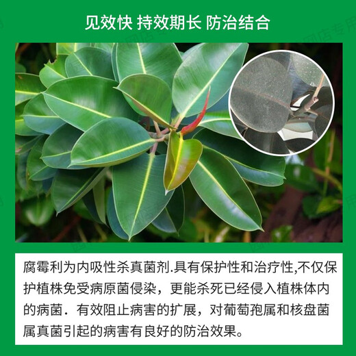 Guoguang Green Green 50% Фунгицид от питиозного увядания для винограда, цветов, саженцев, плодовых деревьев, серой гнили, питиозного увядания, 50г