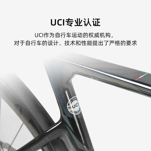 Jiawo JAVA road bicycle hydraulic disc brake 7170 electronic speed barrel shaft carbon fiber bend handle racing VESUVIO bright titanium L (height: 178-188CM)