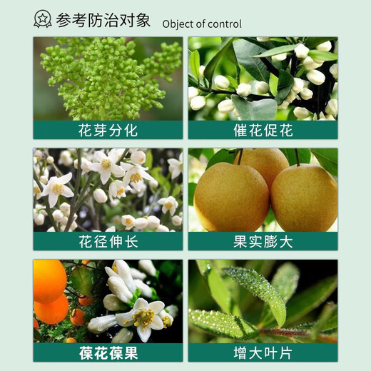 Guoguang Dingyue 3% gibberellin 920 citrus grape fruit germination and fruit preservation to improve fruit setting gibberellic acid growth regulator 1000ml (12 bottles in the box)