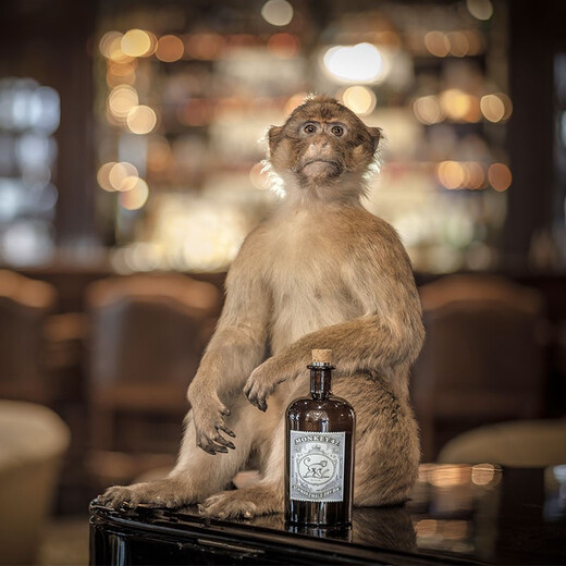 Monkey King 47 Monkey King 47 Monkey Black Forest Gin Gin Wine Aleman German Wine One Bottle One Code 500ml 1 Botella