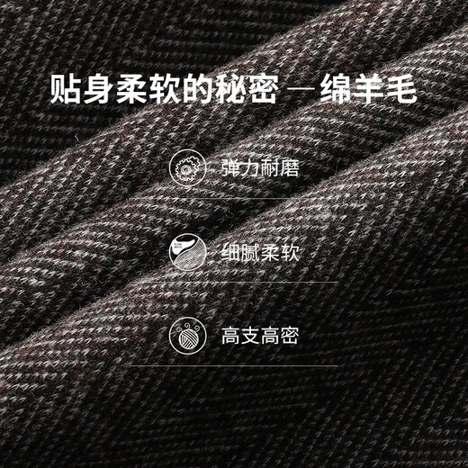 SHANSHAN杉杉西服男春秋季含羊毛男士西装外套中青年商务休闲职业正装厚款 咖色 46 /170