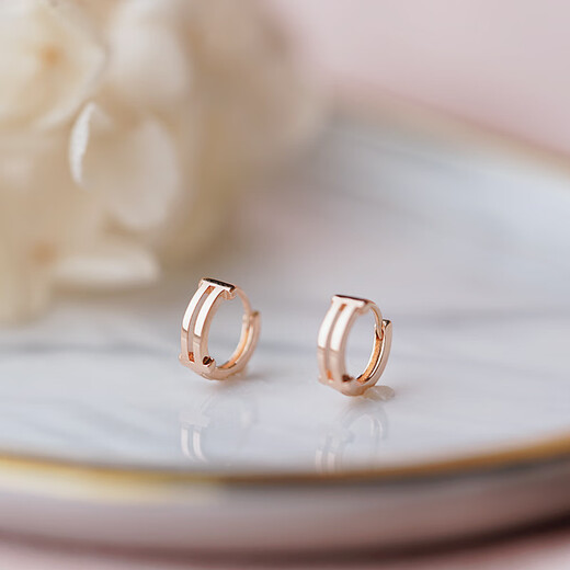 DL 1998 Fat Donglai same style 18k rose gold earrings, simple style, small earrings plated with mini circles, niche design, fashionable, rose gold, striped style 1 pair