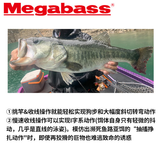 Mégabasse japonais mégabasse appât appât crayon silking karashi petit poivron fine pêche à couler lent 5 grammes 6630