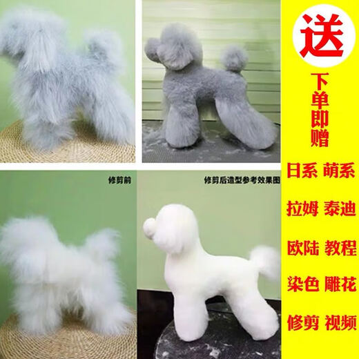 It It Rui Pet Beauty Practice Teddy VIP Fake Hair Model Fake Dog Hair Fake Head Hair Fake Back Hair Full Body Hair Individual Teddy Model Skeleton