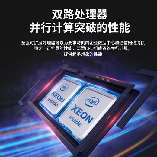 戴尔（DELL）R740服务器主机 机架式存储GPU服务器DeepSeek本地部署 1*4210R 10核心20线程 16G/2块1.2T/H330