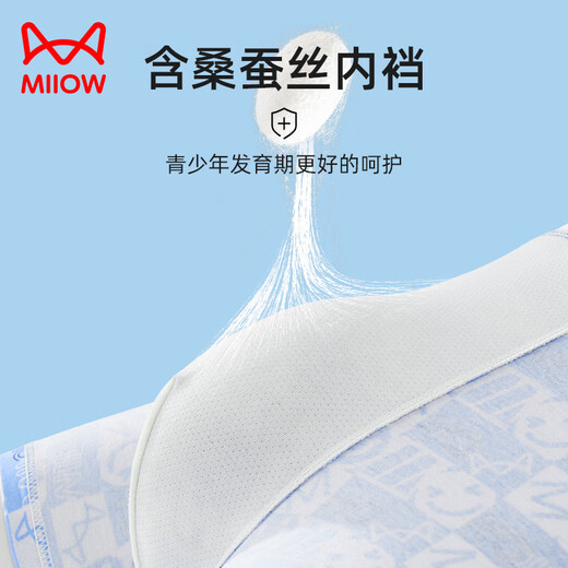 Catman children's underwear for boys, middle and high school students in the developmental period, spring and summer boxer briefs for teenagers, large size men's boxer shorts