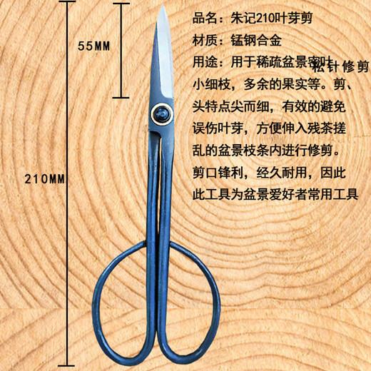 Zhuji leaf bud scissors for bonsai styling tools gardening pruning scissors Zhu Ji leaf bud scissors