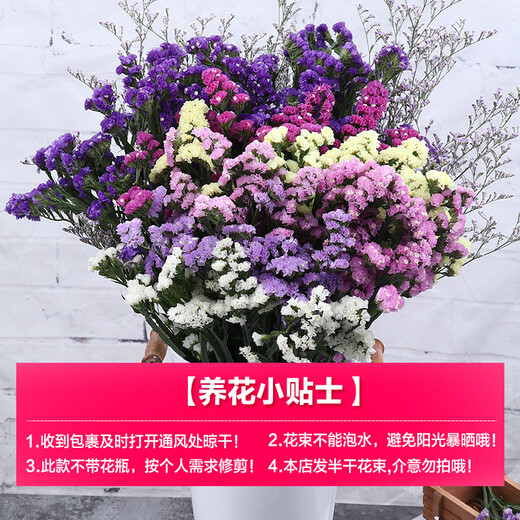AIMAN Yunnan Forget-Me-Not Real Flowers Dried Flower Bouquet Home Furnishings Small Fresh Living Room Gypsophila Flower Arrangement Theory Jin Jin is equal to 0.5 kg. Sell Yellow Crystal Flowers One Bouquet Dried Branches