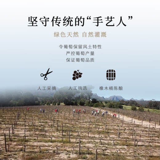 开普山 Cape Mountain 小瓶红酒 原瓶进口 K688葡萄酒 单支187ml 礼品袋