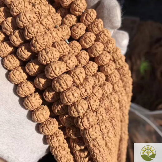 六丸佛手小金刚五爪108原籽厂家五瓣小尺6金刚菩提子颗手链手串念珠佛 五瓣树王12108颗冇尕