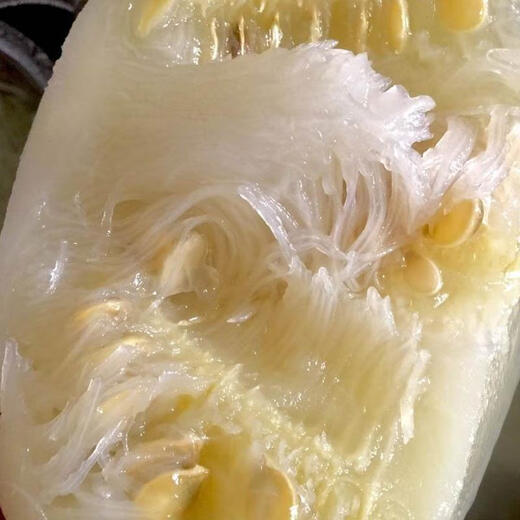 Rice Noodle Melon Seeds Seasonal Planting Easy-to-Live Shark Fin Melon Vermicelli Balcony Planting Potted Garden Vegetable Seeds Rice Noodle Melon 20 capsules