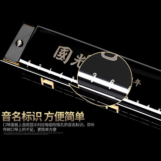 国光正品国光口琴24孔复音C调初学者学生儿童男女自学入门口风琴乐器 24孔复音C调-蓝色