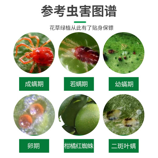 Phytoclonide 45% Hydrazine, Acetylbenzoate, Diphenylhydrazine, Citrus, Fruit Trees, Vegetables and Flowers, Red Spider, Tea, Yellow Mite and Mite Killing Insecticide