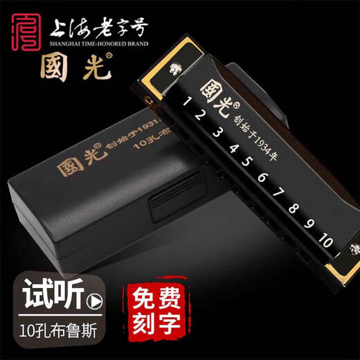 国光10孔布鲁斯蓝调口琴初学者复音c调正品学生自学成人十孔入门口琴 10孔C调黑色【初学入门款】