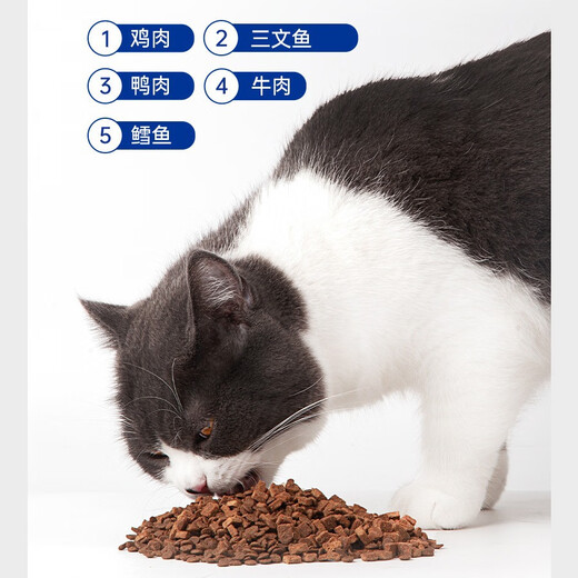 A Fei and Buddy A Fei and Buddy cat food full price cat food E76 chicken hypoallergenic raw bone and meat for kittens freeze-dried 1.5kg scratch code E86-chicken fish kitten food