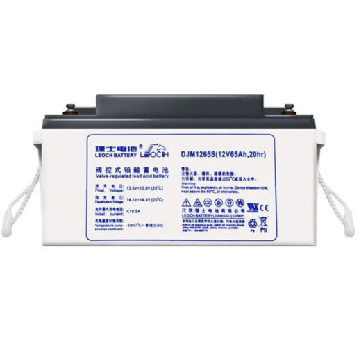 RIS-Blei-Säure-Akku 12V DJM1238S ~ DJM12200S Computer Room Ups EPS Netzteil Energiespeicher Batterie DJM12150S (12 V)