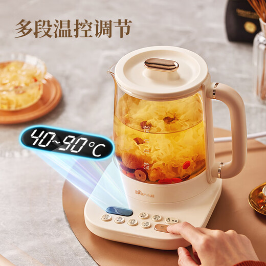 Bear small bubble health pot office kettle noise reduction coating 1 liter mini glass flower teapot thermostatic kettle tea boiler tea kettle with filter YSH-D10Y2