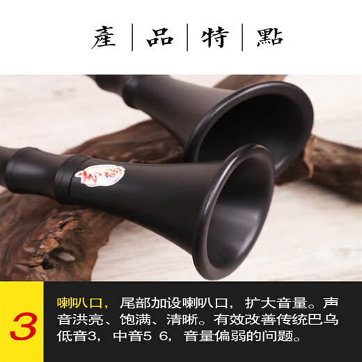巴乌乐器竖吹演奏小学生初学入门大音量G/F调 单管乐器定制款 F调+包+指法表