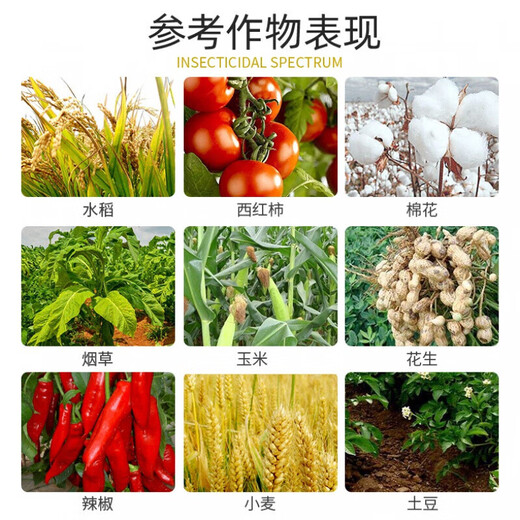 Dwarf dwarf narcissus flower dwarf dwarf dwarf dwarf dwarf dwarf dwarf dwarf dwarf dwarf dwarf dwarf dwarf dwarf dwarf dwarf dwarf dwarf dwarf dwarf dwarf dwarf dwarf dwarf dwarf dwarf dwarf dwarf dwarf dwarf dwarf dwarf dwarf dwarf dwarf dwarf dwarf dwarf dwarf dwarf dwarf dwarf agent 500ml