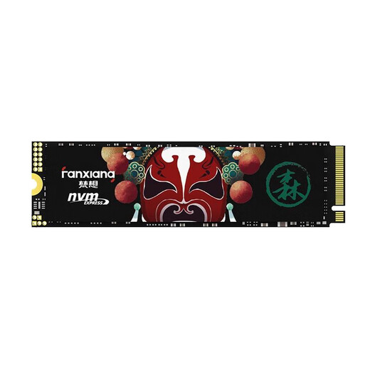 FANXIANG S500PRO / S690 / S790 SSD M.2 NVME Protocol Yangtze Storage PCIE4.0 1TB 2TB FANXIANG S7901TBPCIE4.0 Standard: Équipement de chaleur + vis