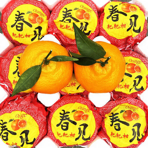 Xuji (XUJI) Sichuan Chunjian Mandarin Fresh Fruit Papa Pa Pa Pa Pa Mandarin Seasonal Ugly Orange Ugly Eight Monsters Orange Sweet Mandarin Full Box of 12 Pieces Gift Box + Handbag
