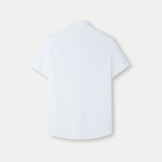 Hla Hailan Home Langarm Shirt Herren Sommer 25 Hemden und Serie Lapel Solid Color Shirt Männer