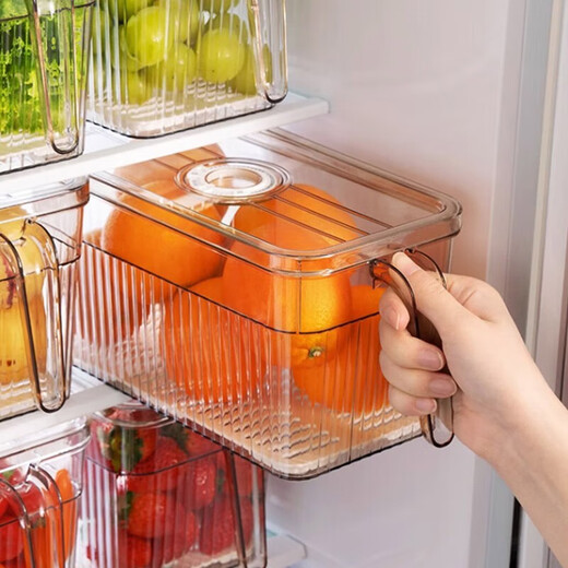 Home KATEI STORY Japanese egg box with lid refrigerator storage box fruit box sealed crisper food grade egg storage box large transparent 5L (one)