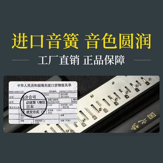 Guoguang importiert Gong Guoguang Marmonica echte 24-Loch