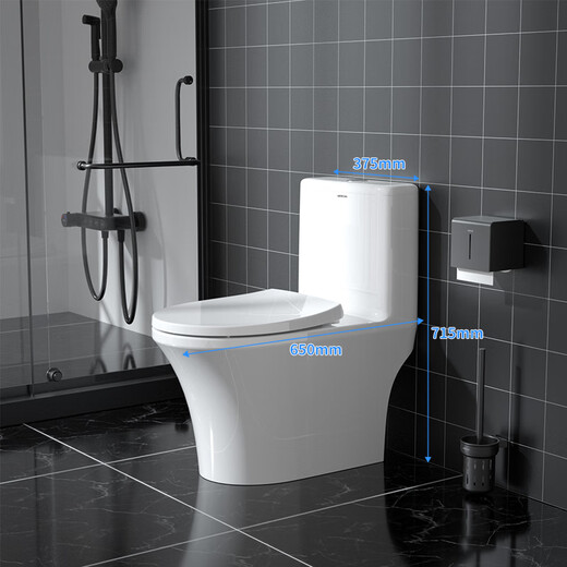 Toilet à lutte contre la flèche grande fleur du ménage à la maison siphon de toilette