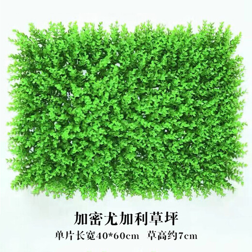 Huawoli simulated lawn (encrypted eucalyptus 40*60) plant wall green plant wall fake lawn turf background wall decoration