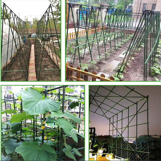 包塑钢管园艺支架豆角黄瓜爬藤支撑杆花园庭院植物牵引固定爬藤架 直径16mm长度210cm【10支】 中等