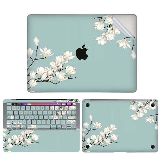 格玛斯（gemasi）2023款 MacBook Pro13 A2338 M2贴纸mac13 A2289苹果笔记本电脑保护膜13.3英寸A1502外壳贴膜A1278 图案02【ACD面】 Macboo