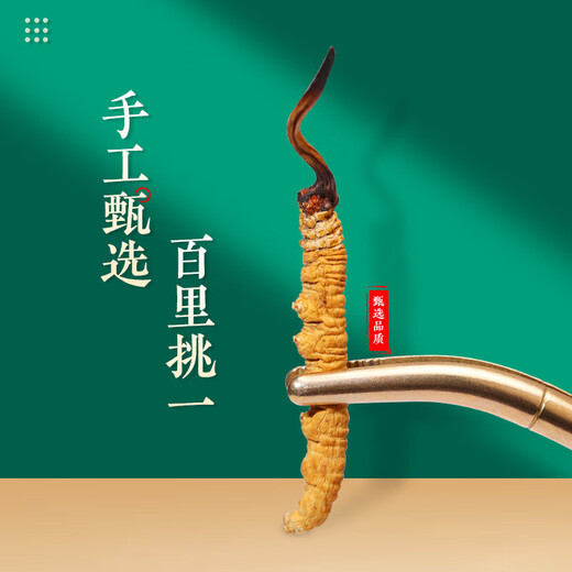 藏区雪域那l曲正宗虫草冬虫夏草虫草礼盒头期干货整滋补养生干货 西藏那曲50条礼盒装(两条一克）