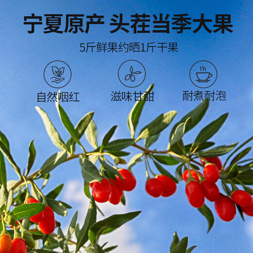 中宁枸杞 特级红枸杞子500g 免洗头茬泡水茶 特级大果250g*2罐