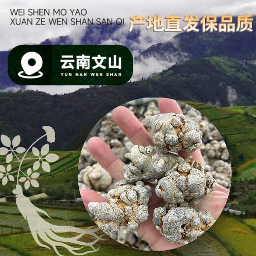 云露源文山三七头片三七粉田七大号带剪口正宗滋养气血中药材母亲节 20头带剪口 250g(如需切片磨粉请留言)