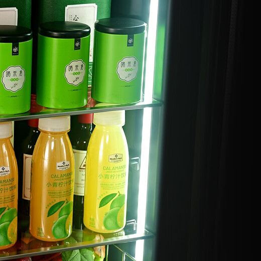 PULADI Seamless Embedded Red Wine Cabinet Constant Temperature Wine Cabinet Embedded Hidden Compressor Wine Tea Refrigerator Touch Open Door Touch Open Door BM-125T Single Temperature Ice Bar 120L