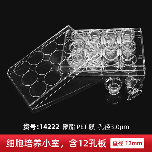 6孔12孔24孔 PC/PET膜细胞小室培养板 transwell 12孔 3.0um 聚脂PET 膜 14222一块