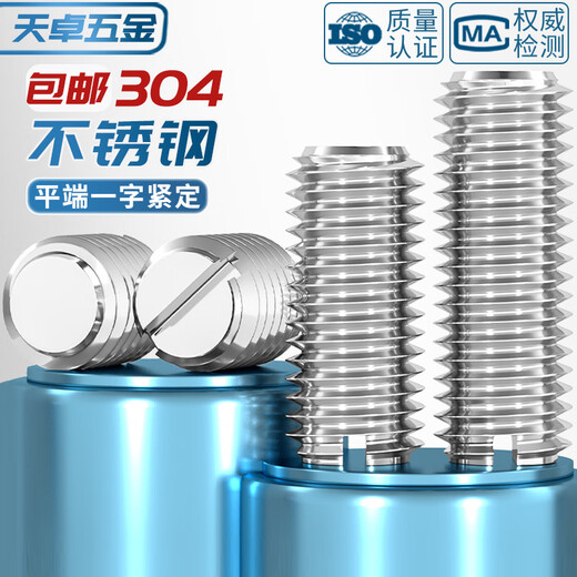 Tianzhuo Hardware 304 stainless steel flat end tight slotted screw machine meter without head wire M1.6M2M3M4M5-M10 M2*6-10 pcs