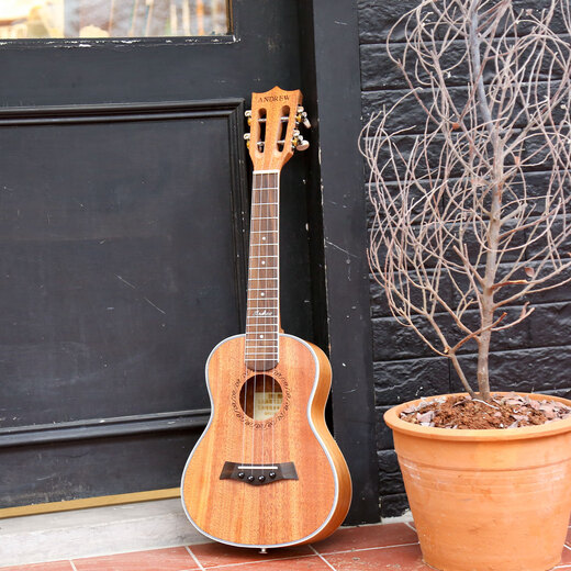 
Andrew Ukulele Beginners for Women, Men and Children's Beginners Small Guitar Musical Instruments Children's Day Gift 23 Inch [Vector Board] Log Wood Color