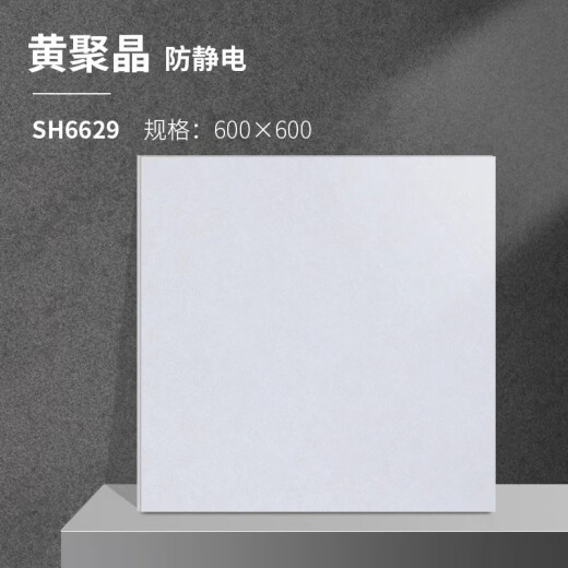 道诺防静电瓷砖 直铺式抗静电地砖600*600*10 （单位：片） 黄聚晶6629