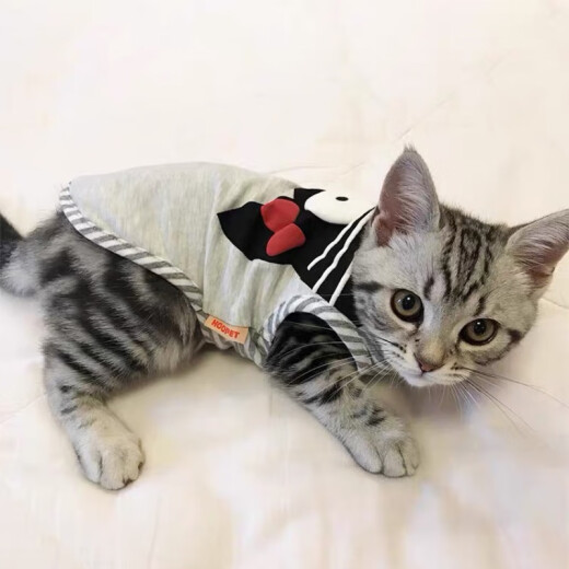 Cat clothes spring and autumn male cat blue cat thin pet kitten summer cat summer spring anti-shedding vest (stain-resistant black) cotton kitten face T-shirt skin-friendly No. 1 - recommended 2-3 Jin [Jin equals 0.5 kg] pet