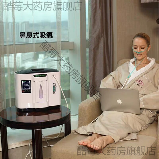 Deda home oxygen generator portable elderly oxygen locomotive vehicle oxygen inhaler for pregnant women home oxygen inhaler A1L silent atomized version-37 decibels