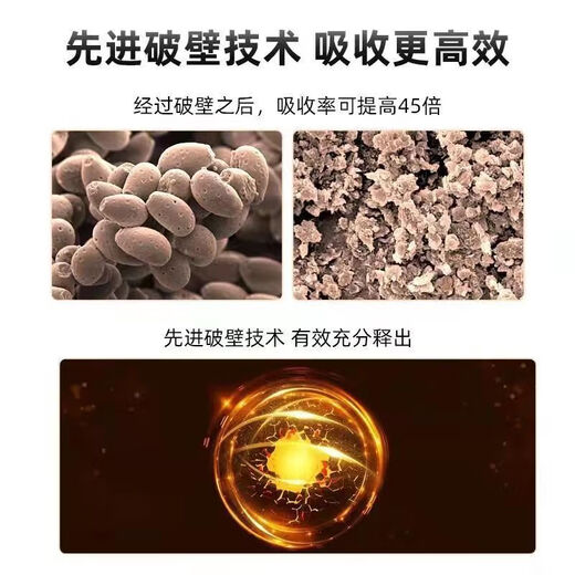 【药房直售】北京同仁堂灵芝孢子油软胶囊增强免疫力成人灵芝孢子粉破壁灵芝孢子粉萃取中老年术后滋补 3盒 36g 90粒 孝敬长辈