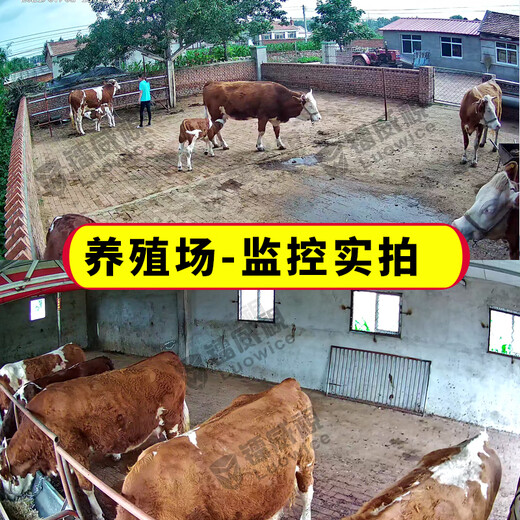 镭威视4g监控高清360度无死角终身免流量带夜视全景云台无需连wifi室内手机远程家用对话门口智能摄像头 【4G免打孔监控】免充流量+64G卡